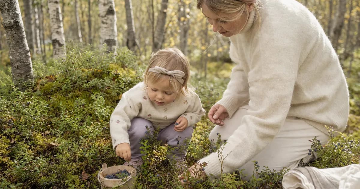 Småbarn som plukker blåbær i norsk skog sammen med en voksen